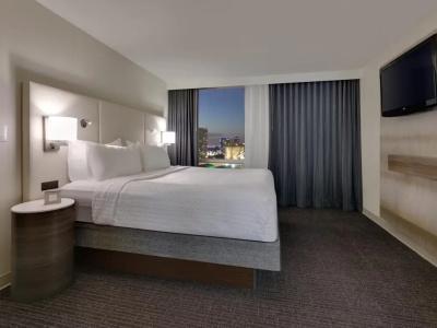 Crowne Plaza Dallas Downtown, An Ihg - 79