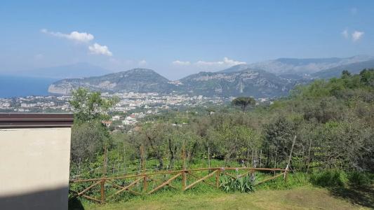 Gli Ulivi Agriturismo - 105