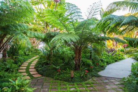 Hacienda de Abajo-Adults Only - 32