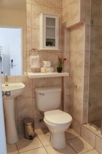 Boutique Tremo - 35