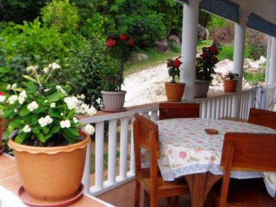 Acquario Guesthouse - 2