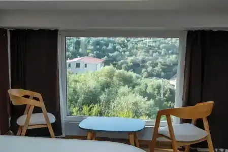 Olivar Tirana - 111