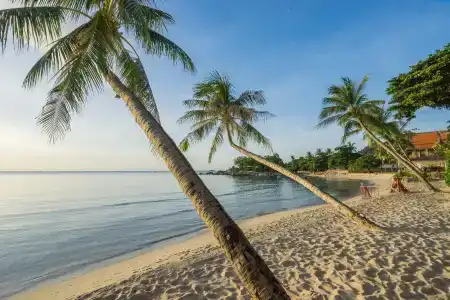 Samui Paradise Chaweng Beach Resort & Spa- Sha Plus - 28