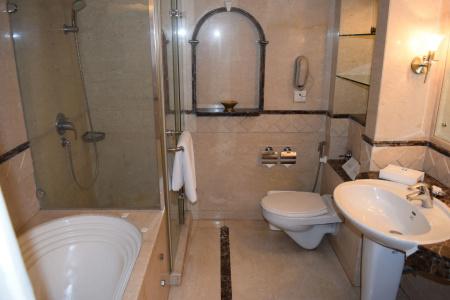 Jaypee Siddharth - 8