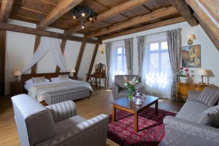 Residence U Mecenáše - 37
