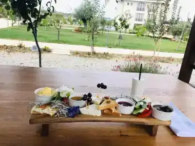 Vinea Resort & Spa - 31