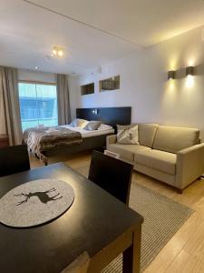 Levi Suites Levi Gold - 241