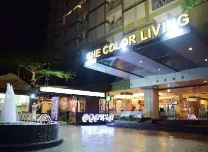 The Color Living - 55