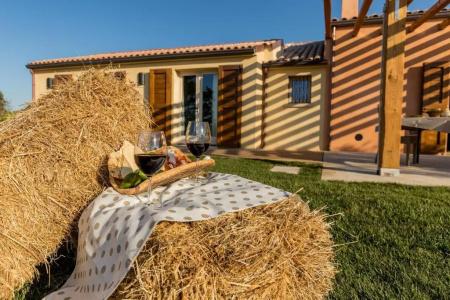Tenuta Petra Bianca - 51