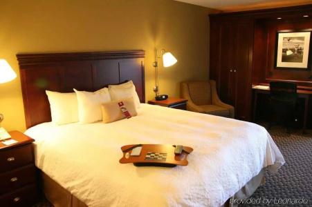 Hampton Inn Central Air Force Academy - 2