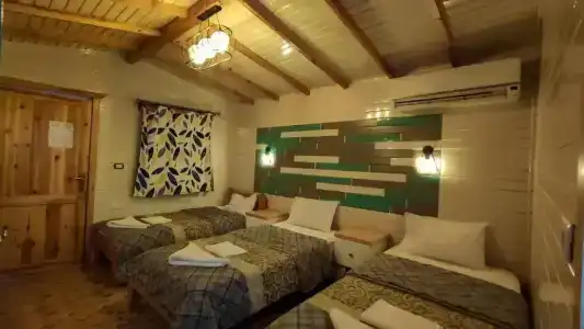 Shams & Dive Centre - 70
