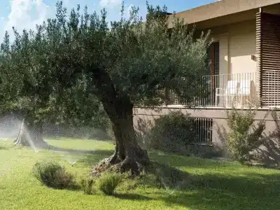 Rocca dei Saraceni - 11