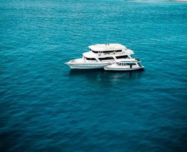 The Maverick Surf and Dive Boutique - 20