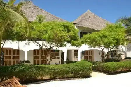 Nest Style Beach Zanzibar - 61