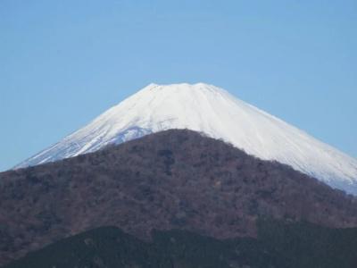 Yoshimatsu - 31