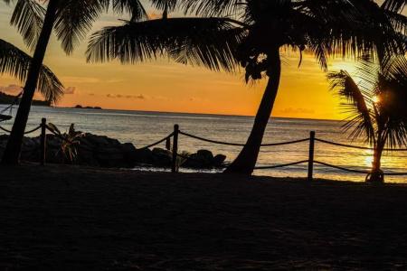 Anse Kerlan Beach Chalets - 6