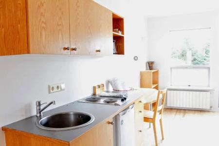 Solheimar Eco-Village - 94