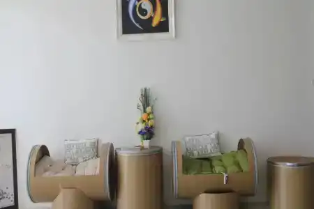 Central View - 11