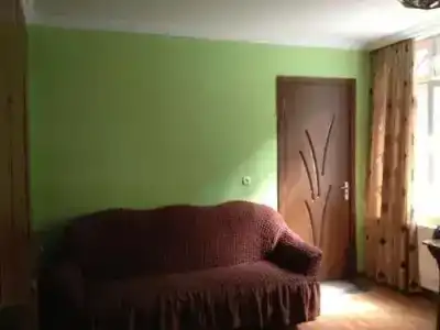 Borjomi Park Guest House - 1