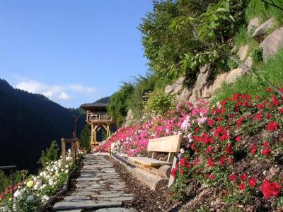 CharmeUhrerhof - Deur - 7
