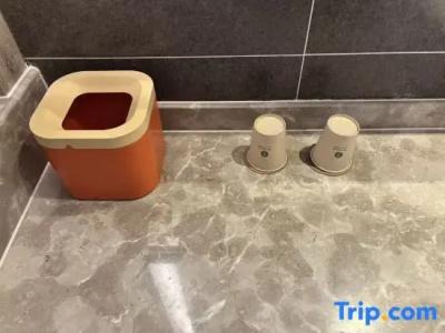 Atour Xi'an Gaoxin Tangyan Road Branch - 107
