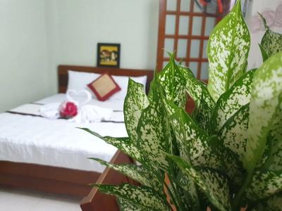 Khách sạn Trường Sơn - 23