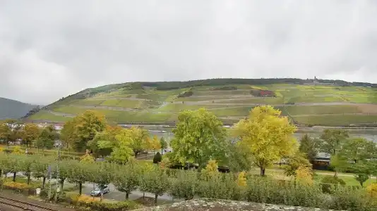 Krone - 9