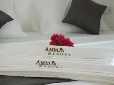 Amelia Resort - 53