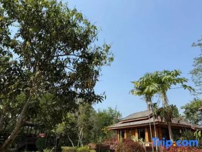 Baan Krating - Sha Plus - 37