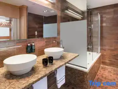 Melia Madrid Princesa - 120