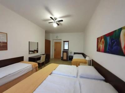 Jana / Pension Domov Mládeže - 30
