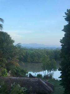 Harmony Beach Bungalows - 62