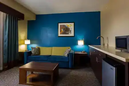 Holiday Inn Houston Downtown, An Ihg - 66