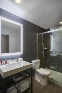 Chicago Marriott At Medical District/Uic - 21