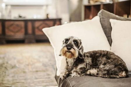 b&b Too Cute 2b Str8 - 29