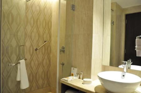 Marigold Jaipur - 38