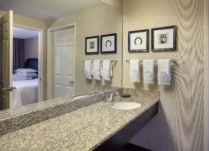 Sheraton Suites Houston Near the Galleria - 25