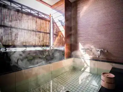 Dogo Onsen Yachiyo - 28