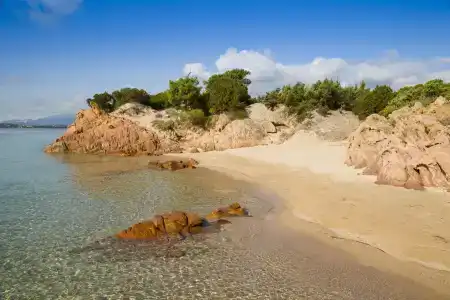 La Plage Casadelmar - 18