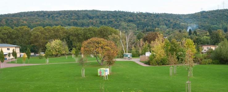 Park-Leimen - 53