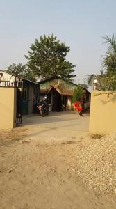 Sauraha - 9