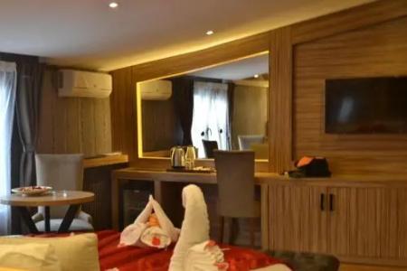 Gumus Palace Suites - 2