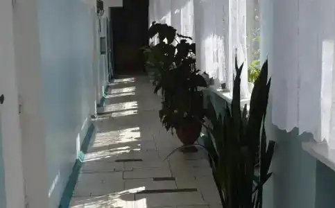 Платинум - 13