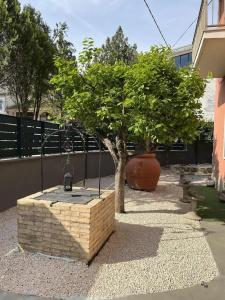 Marini Bed&Breakfast - 12