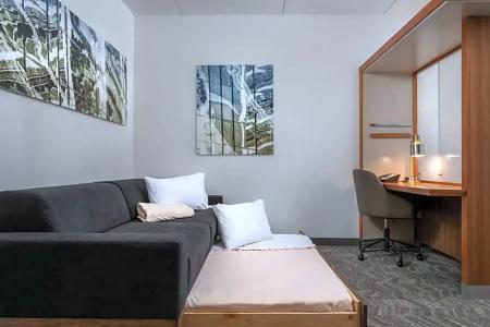 SpringHill Suites by Marriott Downtown/Cameron Harbor - 42