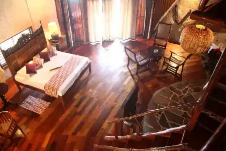 Chauve Souris Relais - 15
