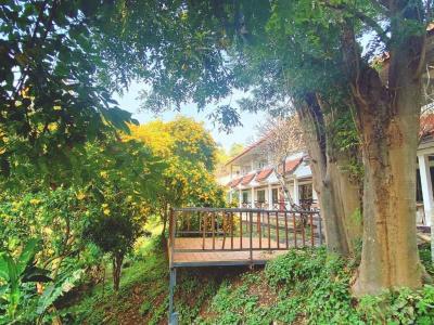 Duenshine Resort - 8