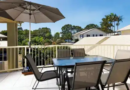 Noosa River Palms - 145