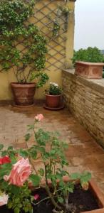 b&b Palazzo Al Torrione 2 - 36