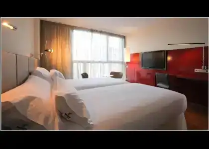 Reina Petronila - 46